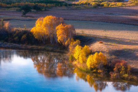 自然风光,秋天,俯瞰,湖泊,草原,植物,青草,树木