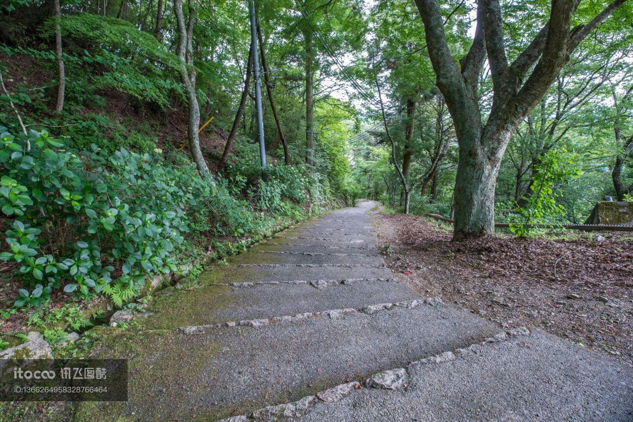 村道,山路,自然/人文景观