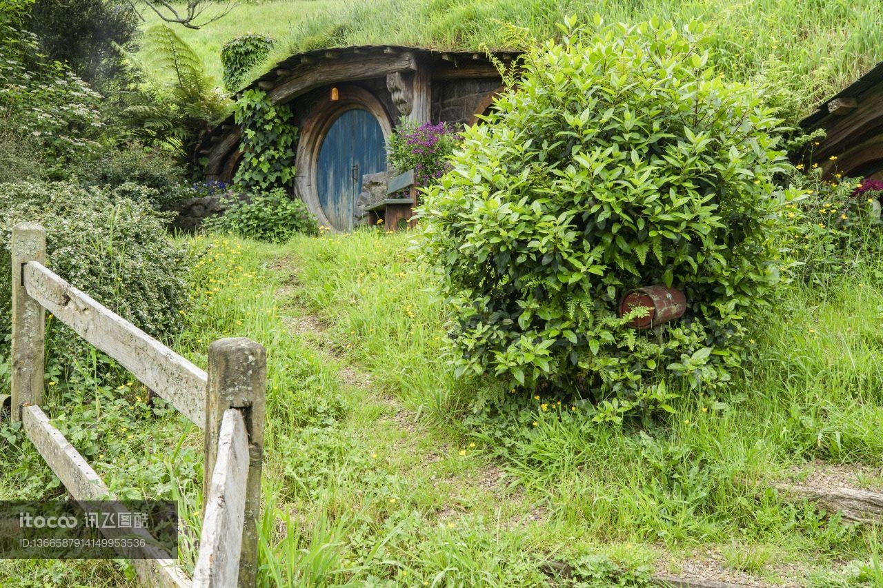 植物,草原,民居