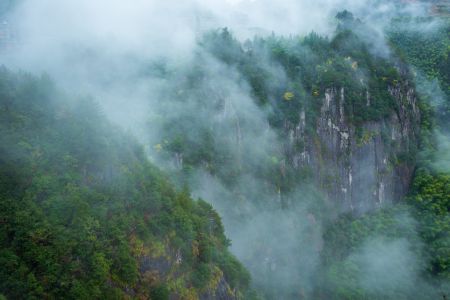 自然风光,雾,航拍,云雾,森林,山川,俯瞰,植物,树木,天空