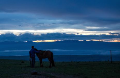 草原,自然风光,天空,全身像,马,动物,人像
