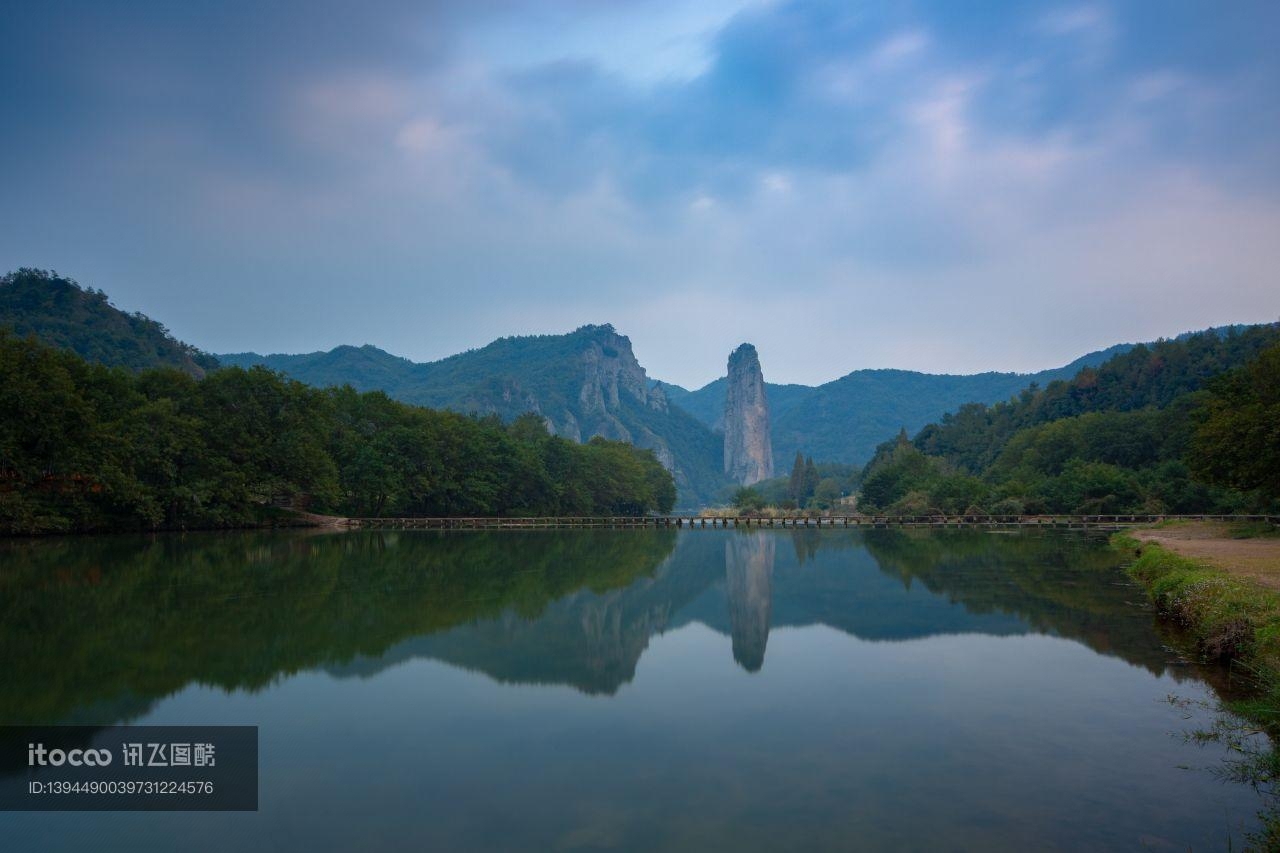 树,风景,天空