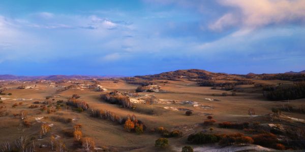 自然风光,沙漠,全景,天空,植物,灌木