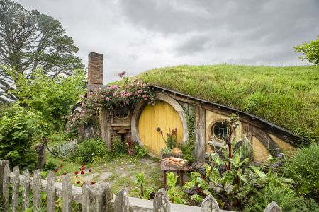 植物,草原,民居,城镇,自然风光,国外,青草,新西兰