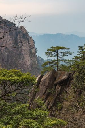 中国,安徽,九华山,自然风光,山川,天空,植物,树木