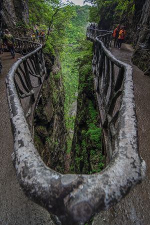 自然风光,山川,俯瞰,植物,树木,张家界,中国,湖南