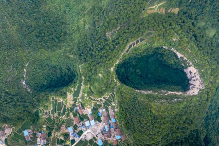 自然风光,森林,村镇,航拍,树木,建筑