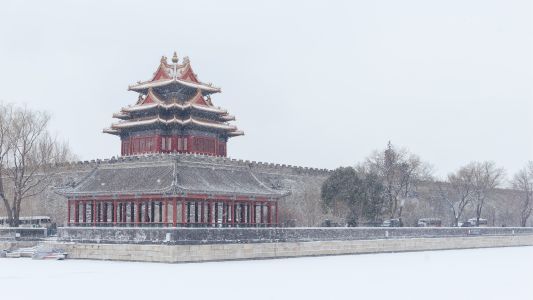 北京,建筑,景点,历史古迹,冬天,故宫角楼,下雪,传统建筑,城楼,自然风光,生物,全景,植物,树木,楼阁