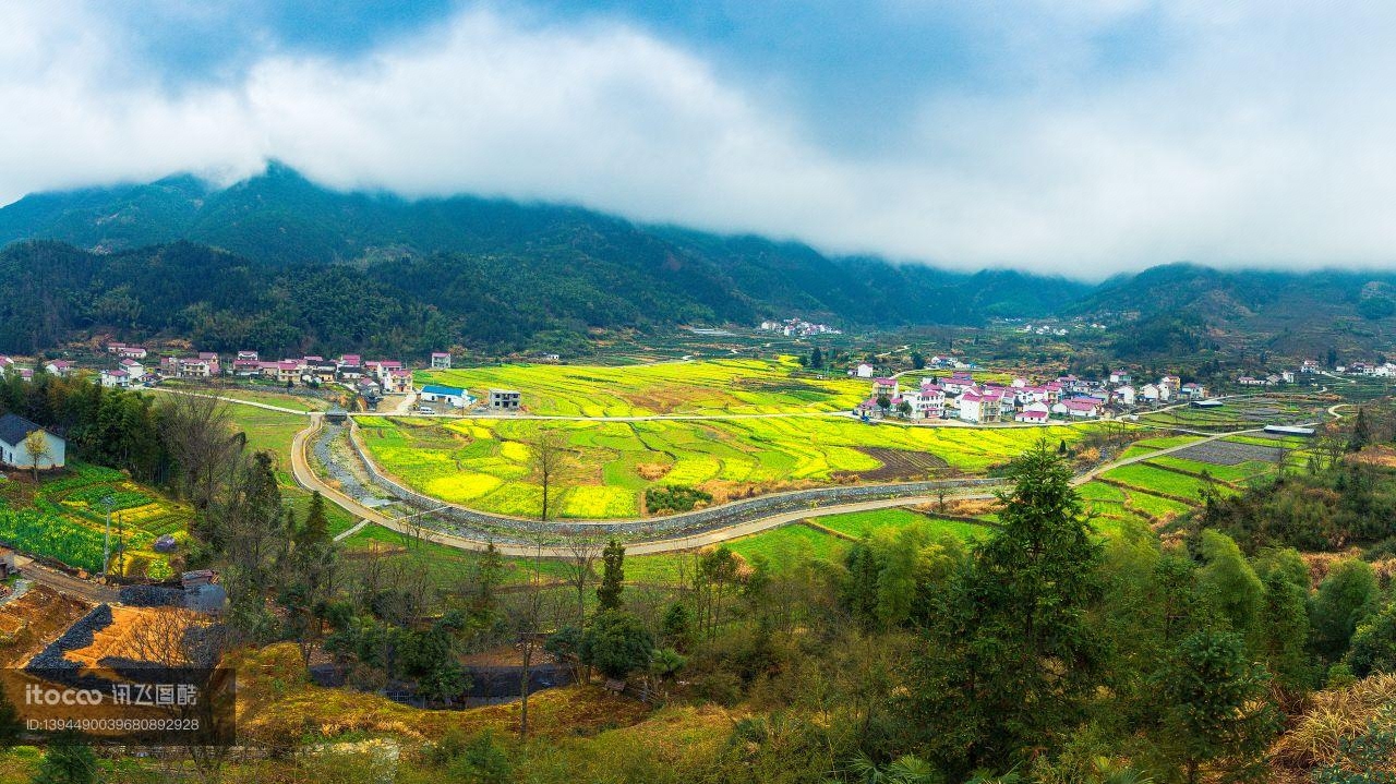 植物,风景,自然风光