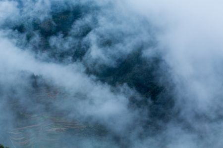 自然风光,航拍,雾,俯瞰,森林