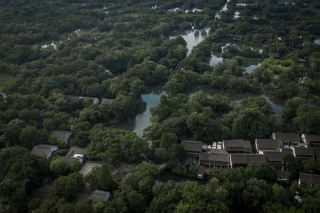 植物,航拍,树木,湖泊,城镇,建筑