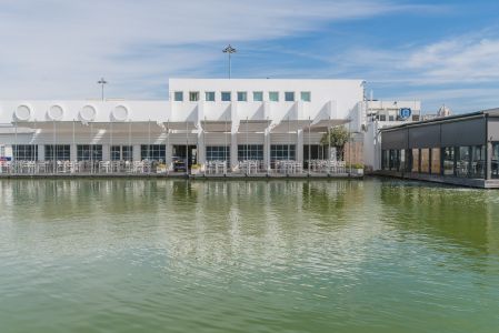 居民楼,现代建筑,建筑,城镇,湖泊,自然风光