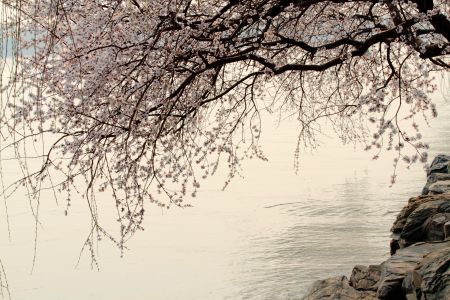 中国,颐和园,湖泊,北京,植物,天空