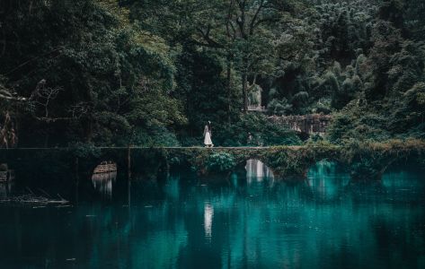 自然风光,湖泊,江河,森林,植物,树木,桥,拱桥,全身像,环境人像