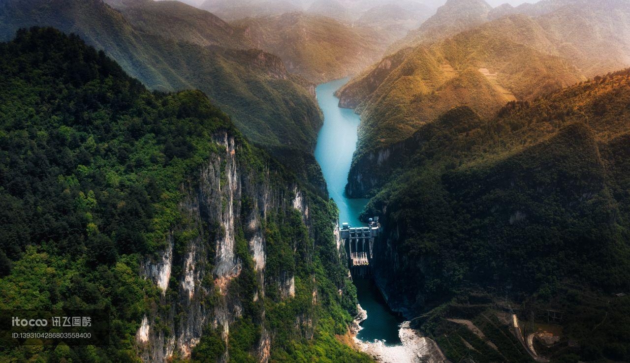 风景,植物,自然风光