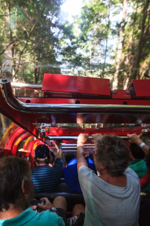 建筑,城镇,国外,人像,交通工具,摩托车,澳大利亚,悉尼