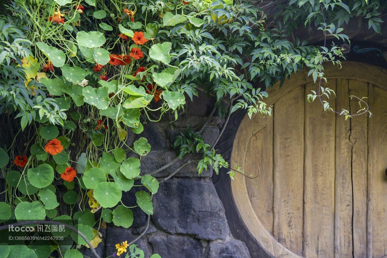 植物,草原,民居