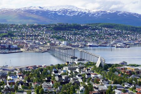 国外,俯瞰,全景,城镇,雪山,江河,村镇,挪威,自然风光,桥,森林