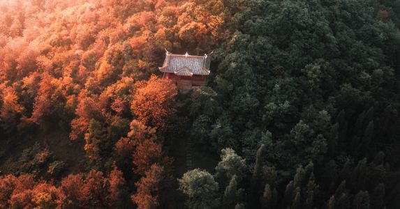 历史古迹,自然风光,森林,全景,航拍,俯瞰,植物,建筑