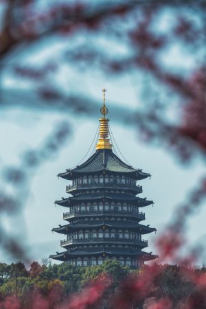 建筑,特写,历史古迹,城镇,天空,植物,树木