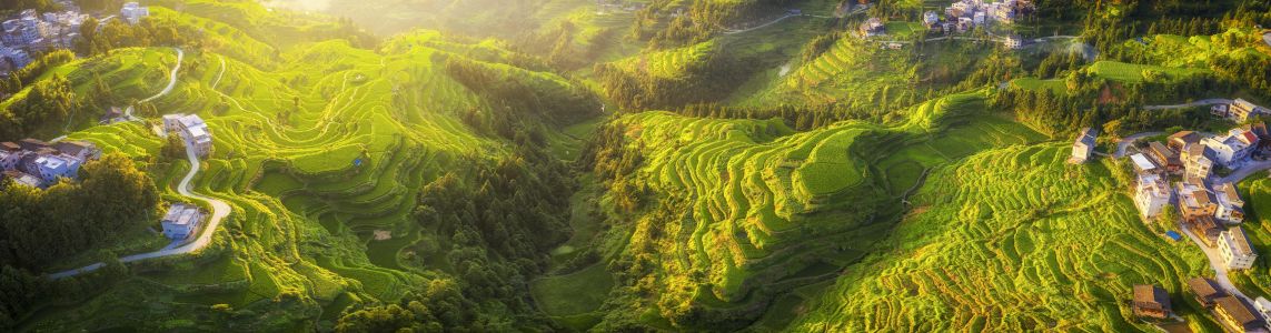 自然风光,森林,江河,天空,全景