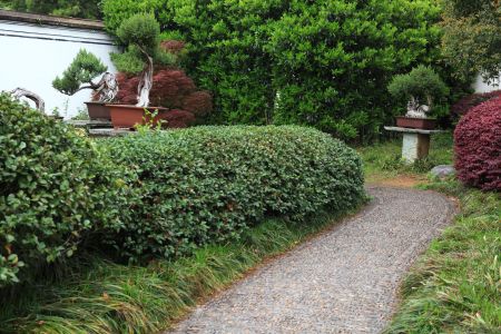 植物,建筑,浙江,自然风光,中国,宁波