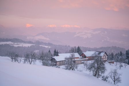 森林,山川,建筑,雪,冬天,冰雪,自然风光,城镇,生物,国外,全景,植物,树木,山峦,天空