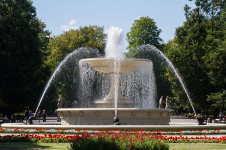 喷泉,城镇,花,树木,国外,植物,波兰