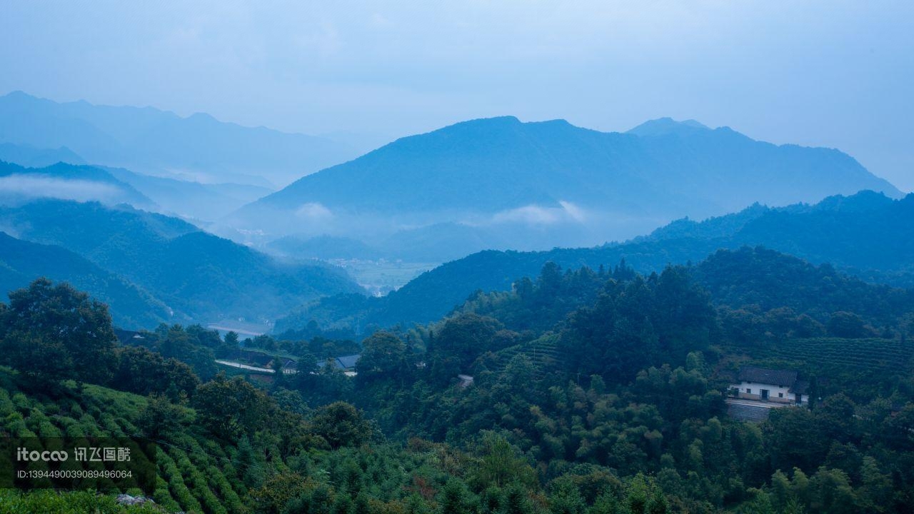 自然风光,天空,森林