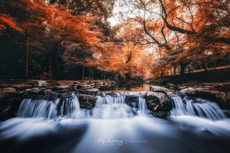 自然风光,秋天,森林,岩石,特写,植物,树木,江河,天空