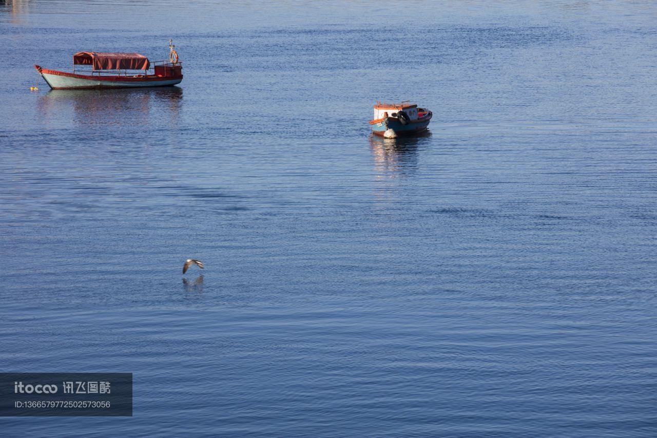 智利,蒙特港Puerto Montt,国外