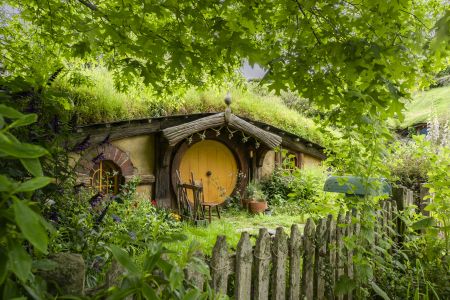 植物,草原,民居,城镇,自然风光,国外,青草,新西兰