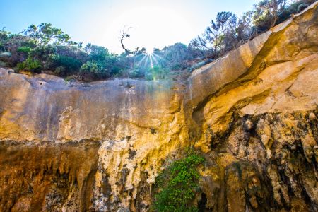 自然风光,山川,太阳,仰拍,植物
