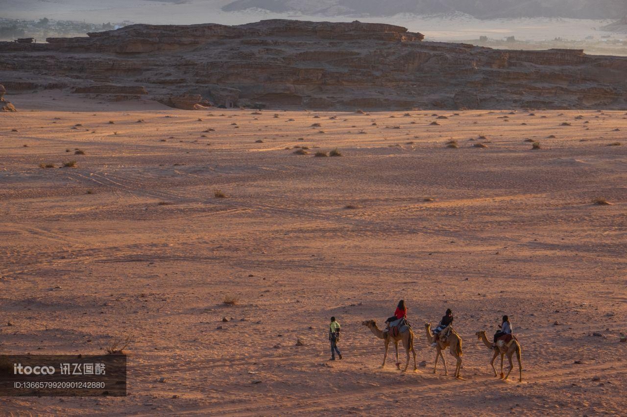 沙漠,人物活动,驼队