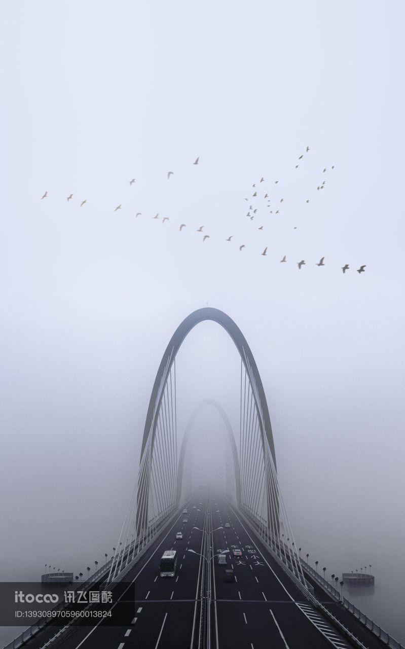 雾,桥,全景