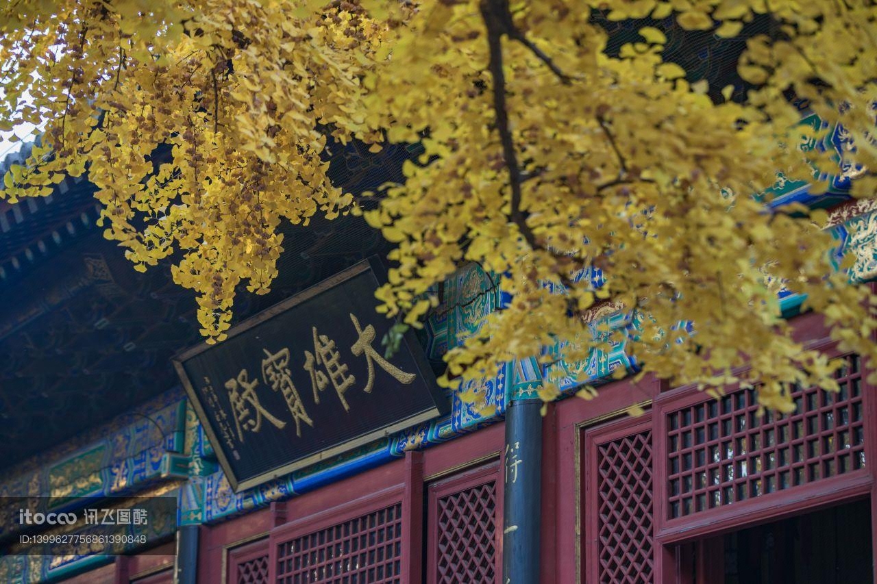 秋天,建筑,中国