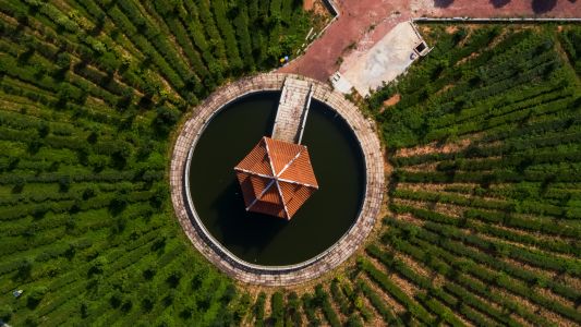 树木,建筑,航拍,湖泊,城镇,森林,植物