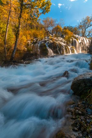 江河,自然风光,秋天,植物,树木,岩石