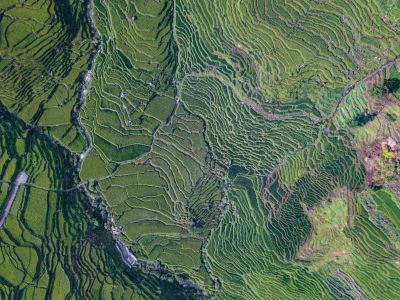 航拍,鸟瞰图,梯田,自然风光,平原,植物