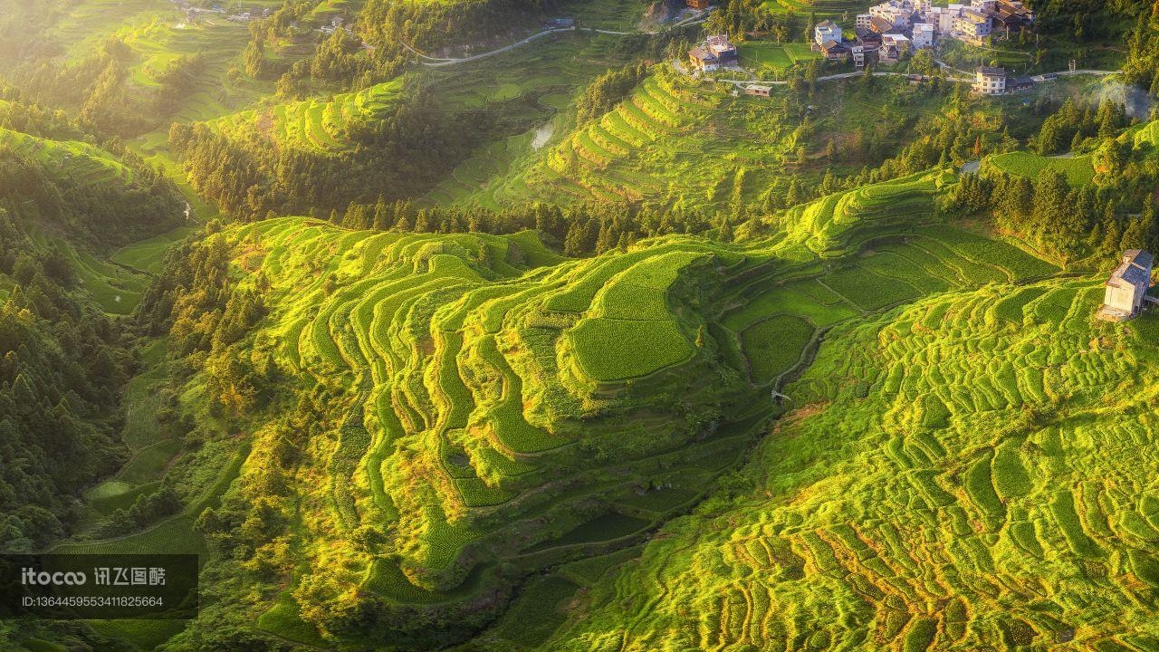 自然风光,森林,江河