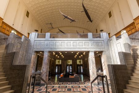 居家室内,现代建筑,房间内景,建筑,城镇,都市