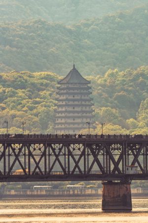 建筑,森林,植物,树木,寺塔,城镇,特写,道路,桥