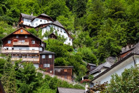 建筑,村镇,植物,城镇,奥地利