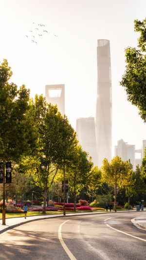 建筑,城镇,道路,城市道路,上海,日出,现代建筑