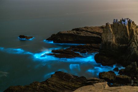 自然风光,海洋,岩石,夜晚,蓝眼泪