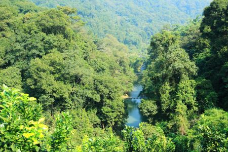 自然风光,森林,航拍,山川,江河