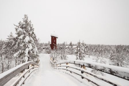 冰雪,芬兰,生活工作,自然风光,国外,雪,建筑,木桥,桥