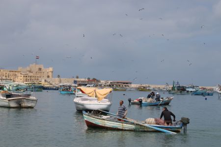 埃及,船,抓拍人像,渔夫,自然风光,国外,海洋,交通工具,天空,鸟类