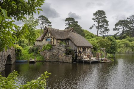 植物,草原,民居,城镇,自然风光,国外,青草,新西兰