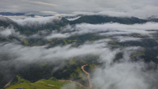 自然风光,云雾,山峦,山川,雾,森林